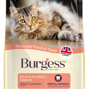 Burgess adult cat rich in salmon